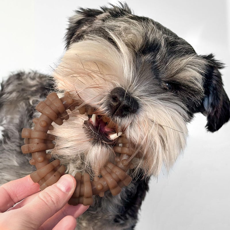 Nylabone Strong Chew Textured Ring Dog Toy Made with Real Beef & Chicken, Durable Chew Toys for Aggressive Chewers, Long Lasting Dog Bone, Keeps Dogs Busy, Small Breeds - Up to 25 lbs - Image 5