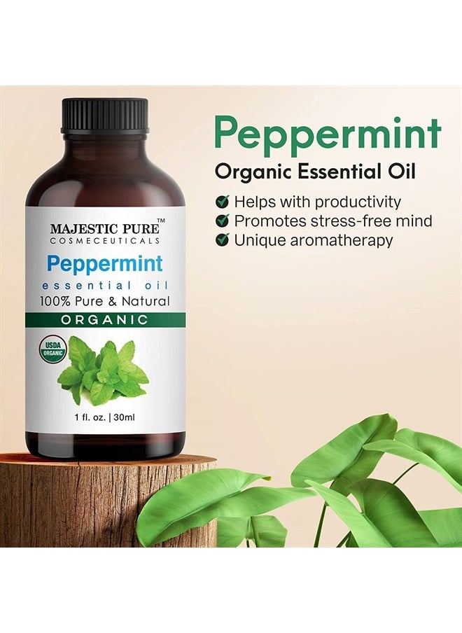 Majestic Pure Majestic Pure Peppermint USDA Organic Essential Oil | 100% Organic and Premium Quality Oil | Aromatherapy, Skincare, Hair Care, & Household Use | 1 fl. Oz  - Image 4