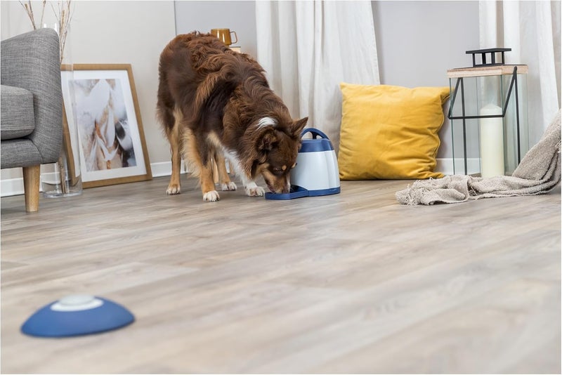 TRIXIE Memory Trainer 30 Dog Enrichment Toy Advanced Level 3 Dog Puzzle Interactive Treat Game - Image 3