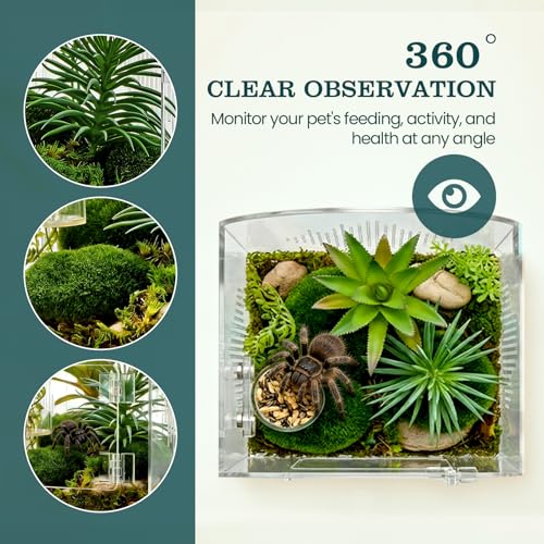 IKILEOGY Acrylic Jumping Spider Enclosure, Clear Spider Enclosure Kit with Ventilation, Pre-Assembled Habitat for Jumping Spiders, Tarantula, Mantis, Insects - Image 5
