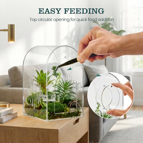 IKILEOGY Acrylic Jumping Spider Enclosure, Clear Spider Enclosure Kit with Ventilation, Pre-Assembled Habitat for Jumping Spiders, Tarantula, Mantis, Insects - Image 4