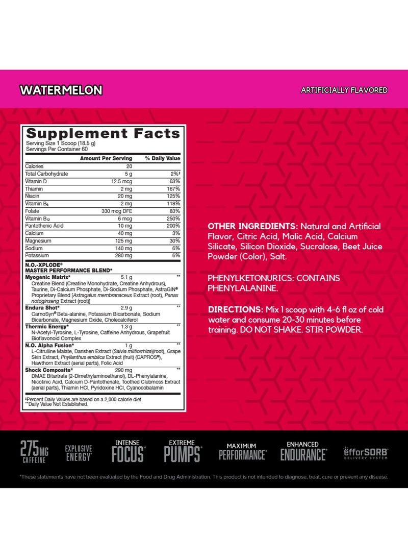 BSN N.O.-Xplode Legendary Pre-Workout Watermelon 60 وجبة - Image 2
