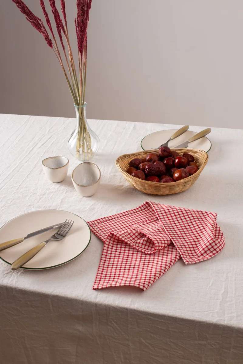 Wellstil Texture | Set of 2 Linen Piti Checked Napkins - Picnic Decoration 40 x 40 cm