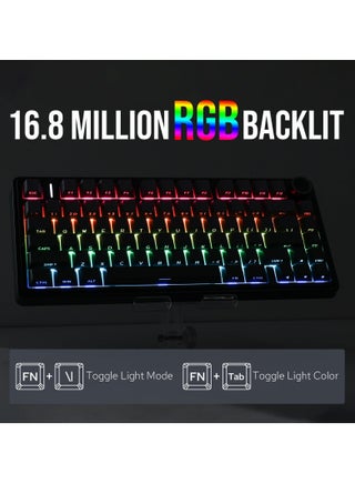 F75 Mechanical Keyboard Reaper Switch 75% Hot Swappable Gaming Keyboard Bluetooth/Wireless/USB-C - view 5