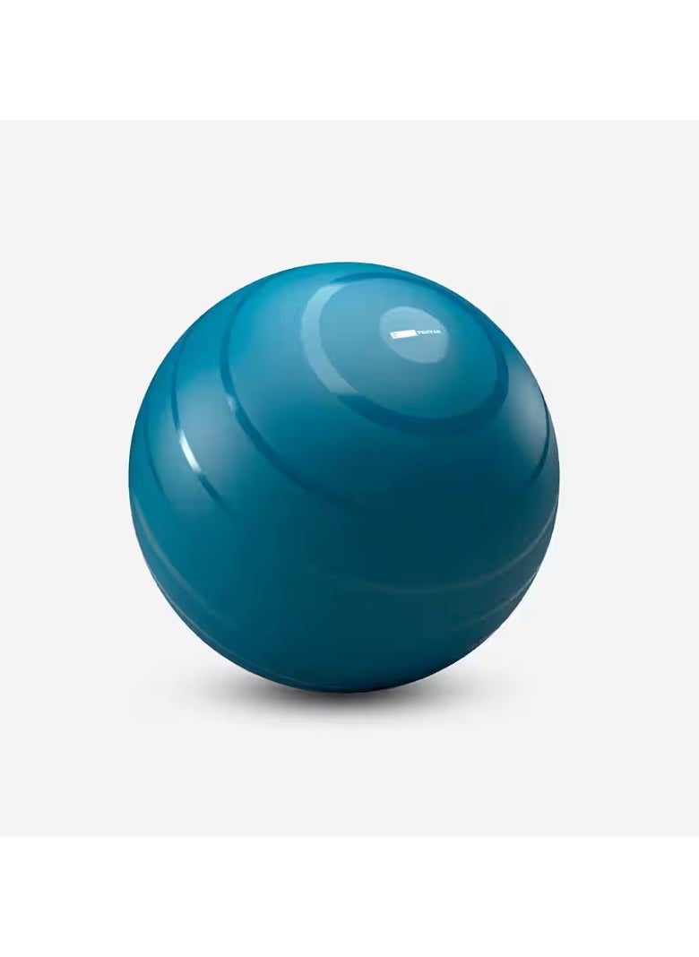 Domyos Durable Swiss Ball  - Image 1