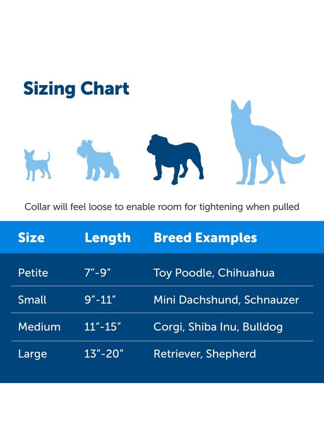 بيت سيف طوق مارتينجال للكلاب من بيت سيف مع مشبك سريع الإغلاق - متوسط، 1 بوصة، أسود - Image 4