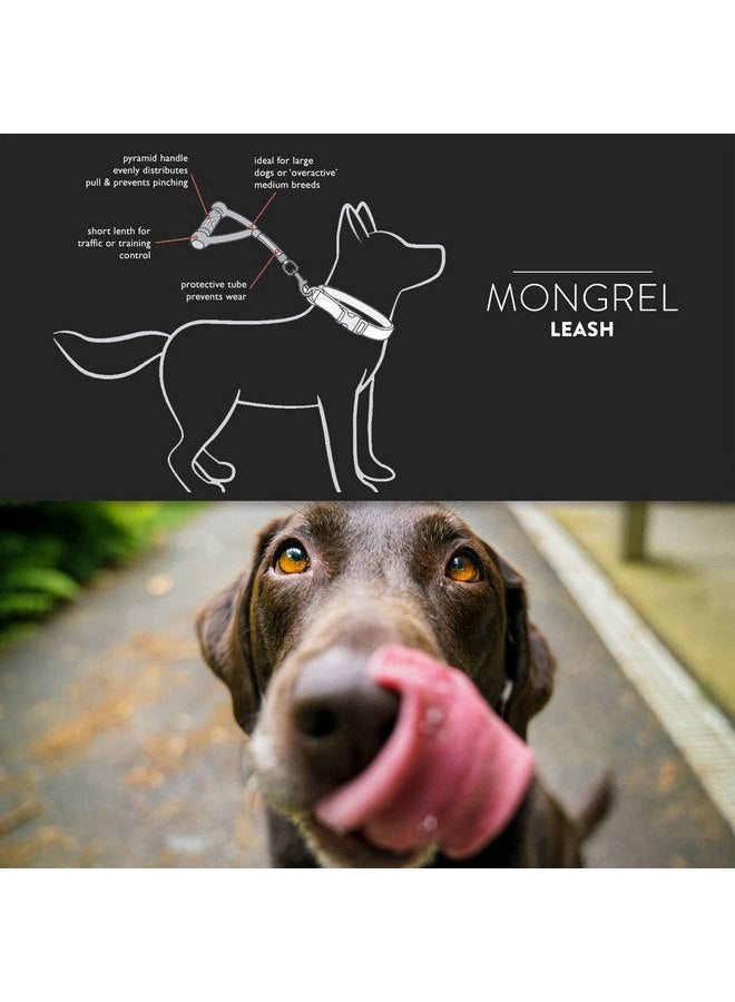 EzyDog EzyDog Mongrel Best Short Dog Leash for Medium to Large Dogs - Perfect Lead for Control, Training, and Keeping Your Dog Close - Durable and Comfortable Pyramid Handle Design (12”, Black) - Image 2