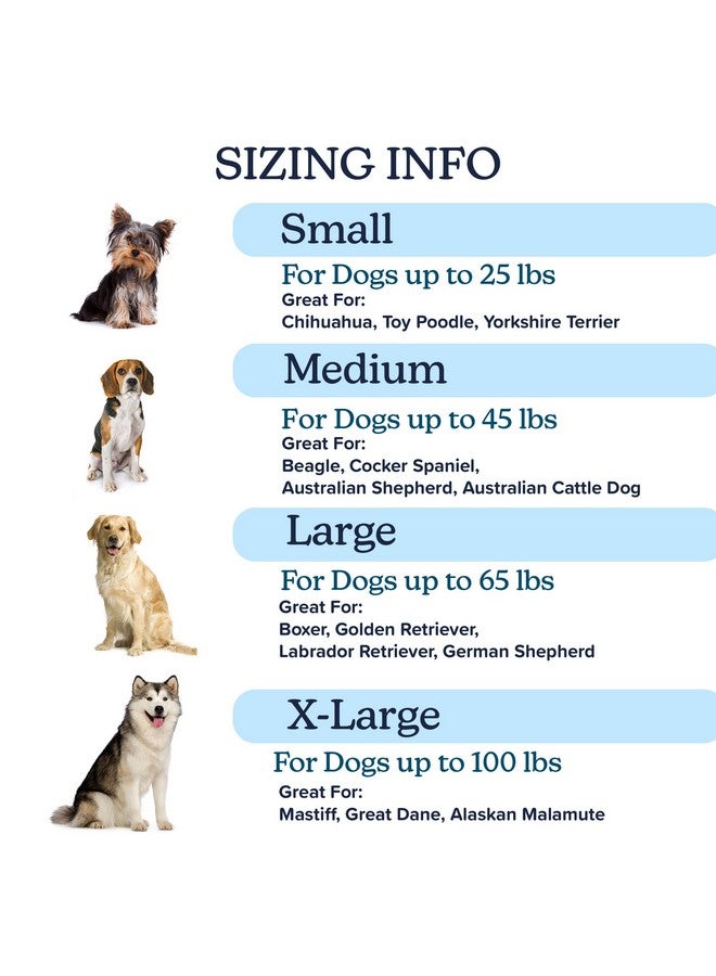 PETMAKER Water-Resistant Dog Bed - Orthopedic Dog Bed with Removable Washable Cover, Non-Slip Bottom, and Egg Crate Style Foam - 25.5in Small Pet Bed - Puppy Essentials by PETMAKER (Green) - Image 5