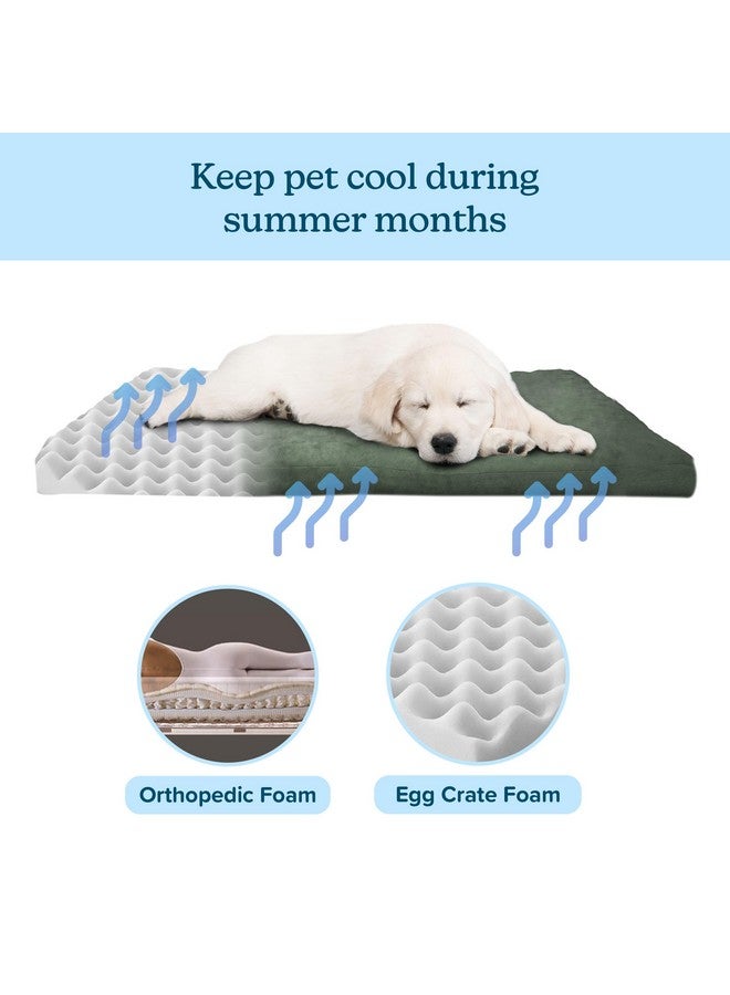 PETMAKER Water-Resistant Dog Bed - Orthopedic Dog Bed with Removable Washable Cover, Non-Slip Bottom, and Egg Crate Style Foam - 25.5in Small Pet Bed - Puppy Essentials by PETMAKER (Green) - Image 3