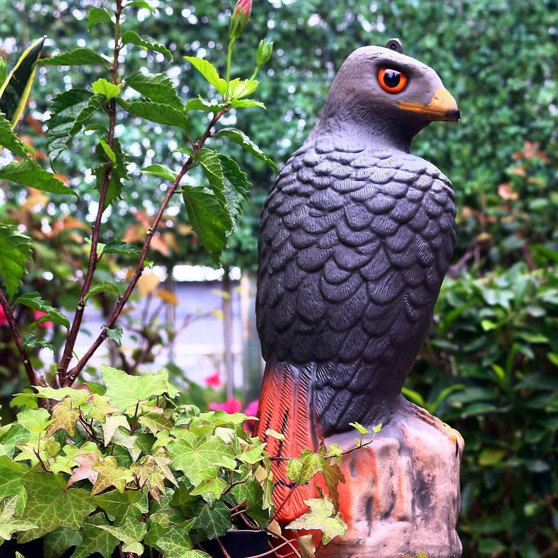 Luckam Large Realistic Falcon Statue, Decoy Bird Scarer Plastic Garden Bird Repeller Scarecrow Bird Scare Seagull Crow Scare Birds Away for Garden - Image 4