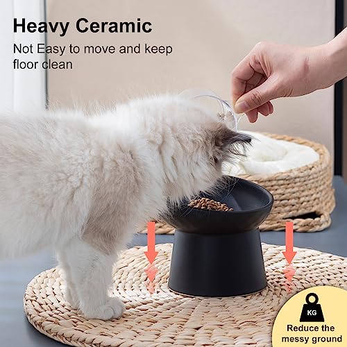 YauYik Raised Cat Bowl Black, Elevated Cat Food Bowls with Tilted Angle, Stress Free, Anti Vomiting, Ceramic Water Bowl for Cats Small Dogs Feeding Dish, 8 Ounces - Image 5
