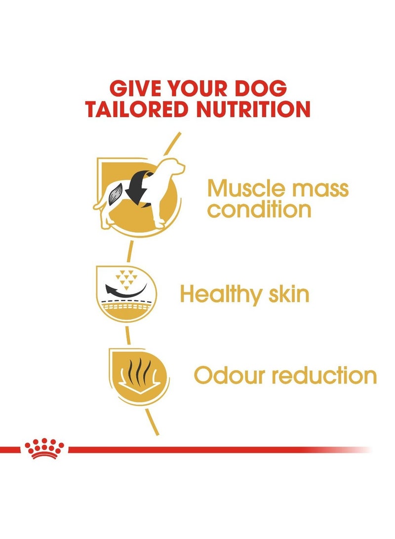 رويال كانين - تغذية صحية لسلالات الكلاب الفرنسية - وزن 3 كجم - Image 4