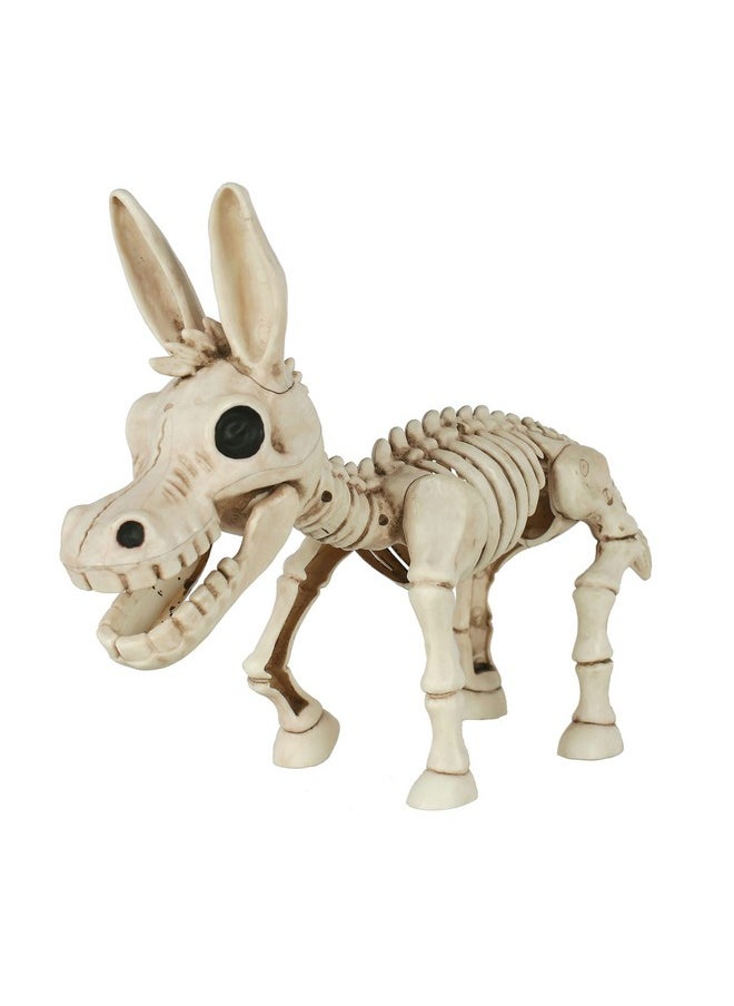 Skeleton Donkey - pzsku/Z4762773D6C80900E57BAZ/45/_/1732774003/779f0170-b528-4d3f-82ad-3e7304d192b8