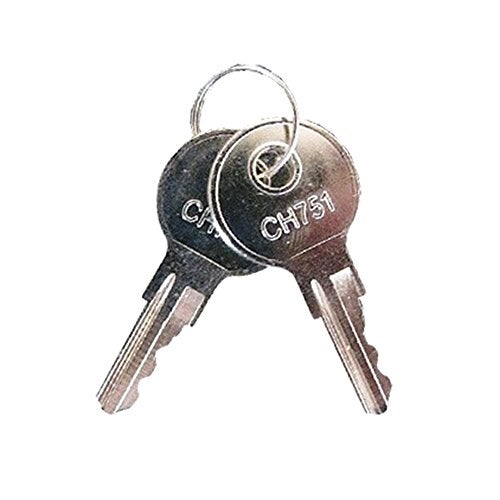 Pyramid Time Systems Time Clock Replacement Keys, 3500, 3550SS, 3600SS, 3700, 4000, 4000Pro, 4000HD, 5000, 5000HD, 2/Pack (41479K) - Image 1