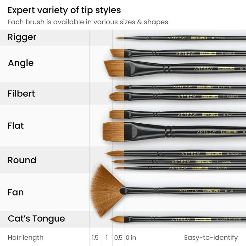 ARTEZA Paint Brushes, Set of 12, Premium Synthetic Brushes with Brass Ferrules & Wooden Handles - Image 3