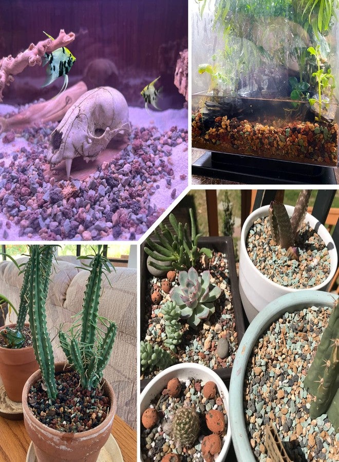 Avalution 2.4lb Mix Horticultural Lava Rock Pebbles Pumice Potting Soil Amendment Succulent Cactus Bonsai Gritty Rock Decorative Gravel Plant Drainage Volcanic Rock for Aquarium Fairy Gardening Top Dressing - Image 5