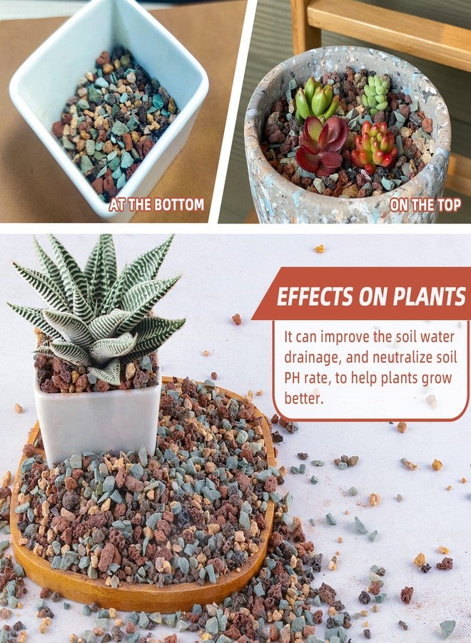 Avalution 2.4lb Mix Horticultural Lava Rock Pebbles Pumice Potting Soil Amendment Succulent Cactus Bonsai Gritty Rock Decorative Gravel Plant Drainage Volcanic Rock for Aquarium Fairy Gardening Top Dressing - Image 3