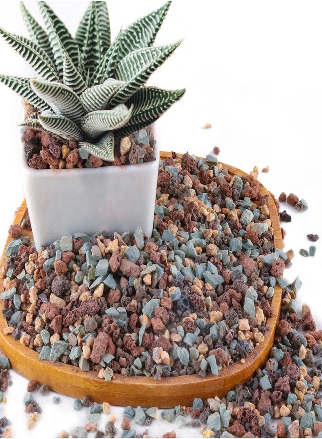 Avalution 2.4lb Mix Horticultural Lava Rock Pebbles Pumice Potting Soil Amendment Succulent Cactus Bonsai Gritty Rock Decorative Gravel Plant Drainage Volcanic Rock for Aquarium Fairy Gardening Top Dressing - Image 1