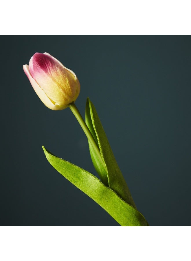 Home Box Aria Tulip Flower Stem - Image 2
