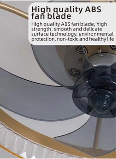 Vmax Smart Ceiling Fan Light With Remote And Mobile App  - Image 5