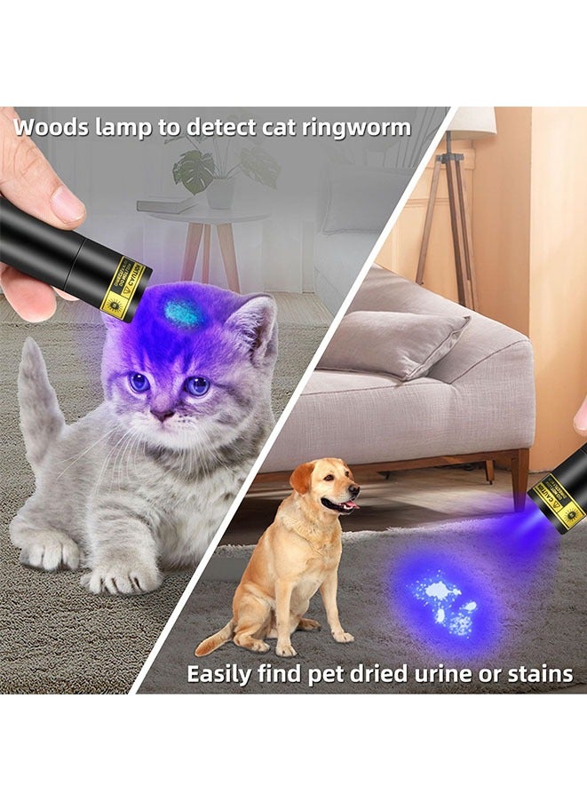 Muyixin فلاشلايت ضوء أسود UV ميني 365nm - قابلة لإعادة الشحن USB فلاشلايت LED فوق بنفسجي قوية للكشف عن البقع والتخييم والطوارئ - Image 3