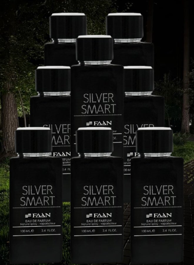Faan 8 Pieces Silver Smart Perfume 100ML - Image 1