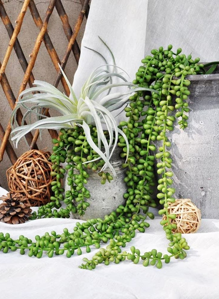 4Pcs String of Pearls Plant Artificial Hanging Succulents Plants for Home Garden Decor
