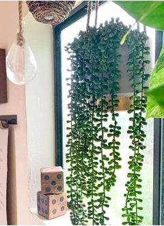 URbazaar 4Pcs String of Pearls Plant Artificial Hanging Succulents Plants for Home Garden Decor  - Image 5