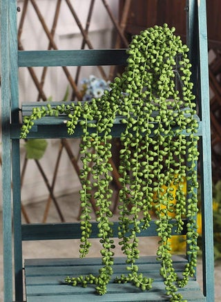 4Pcs String of Pearls Plant Artificial Hanging Succulents Plants for Home Garden Decor - pzsku/Z47687CCECA6BAC564B13Z/45/1746221101/877cbb50-e42d-48aa-909f-14a149e1803f