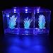 Aquarium Fish Led Light Kid Friendly Small Fish Three Divisions Breeding Isolation Mini Aquarium komplettset LED Acrylic Box Betta for Small Fishes