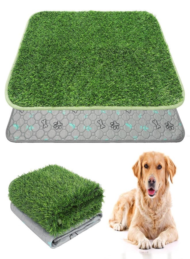 KOOLTAIL Dog Grass Pad with Washable Pee Pads for Puppy Potty Tray,32"*38" Soft Artificial Turf Multipurpose Reusable Grass Patch Pads for Dogs Litter Box, Leakproof for Doggie Training Indoor Outdoor - Image 1