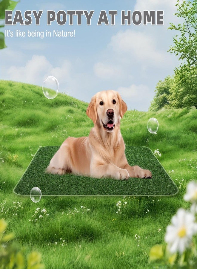 KOOLTAIL Dog Grass Pad with Washable Pee Pads for Puppy Potty Tray,32"*38" Soft Artificial Turf Multipurpose Reusable Grass Patch Pads for Dogs Litter Box, Leakproof for Doggie Training Indoor Outdoor - Image 2