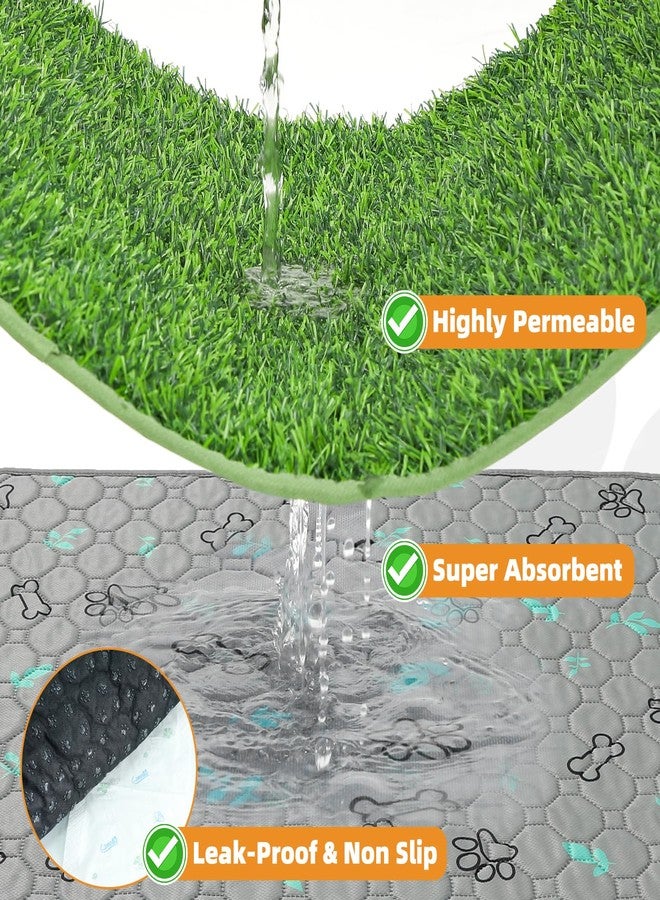 KOOLTAIL Dog Grass Pad with Washable Pee Pads for Puppy Potty Tray,32"*38" Soft Artificial Turf Multipurpose Reusable Grass Patch Pads for Dogs Litter Box, Leakproof for Doggie Training Indoor Outdoor - Image 3