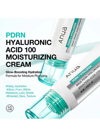 Pdrn Hyaluronic Acid 100 Moisture Cream 60Ml 60ml - view 2