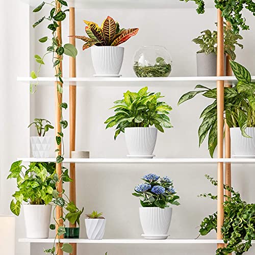 Rabbonix Plastic Round Flower Pots for Home Planters, Terrace, Garden Etc | Pack of 05 | White | Suitable for Home Indoor & Outdoor Gardening Plants - Image 2