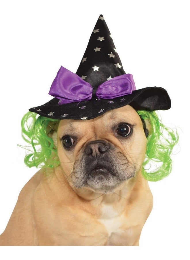 Rubies Costume Star Witch Hat with Hair Pet Accessory, Small/Medium - Image 1