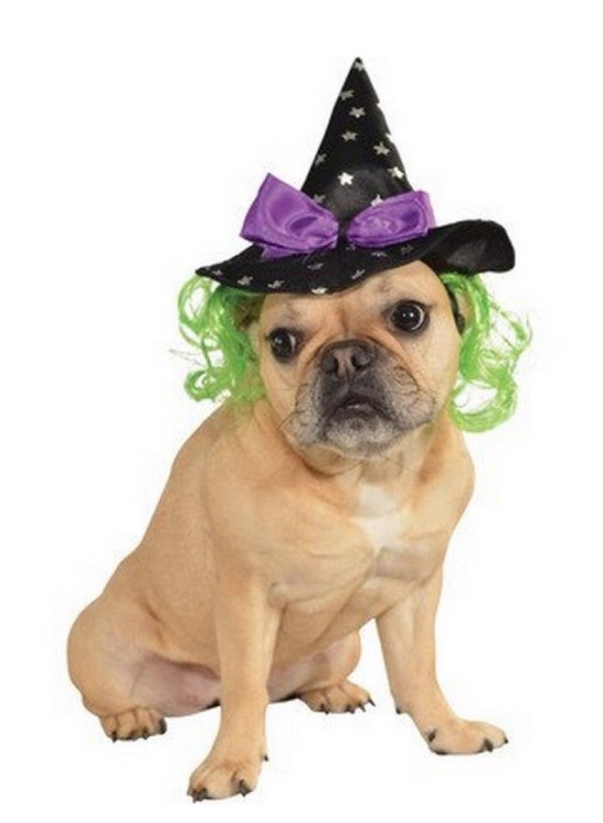 Rubies Costume Star Witch Hat with Hair Pet Accessory, Small/Medium - Image 2