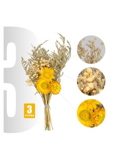 Excefore Eternal Sunflower Preserved Flowers, Long-Lasting Sunflower Flower Gift, with Desmodium Gyrans in a Box, Gifts for Valentines Day, Mothers Day, Birthday, Graduate, Thanksgiving  - Image 2