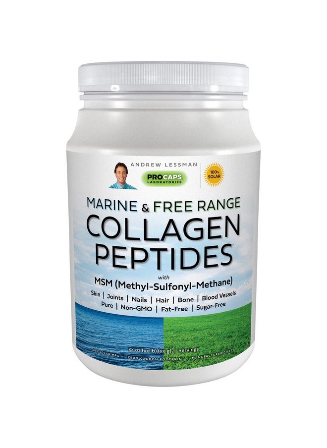 Marine & Free Range Collagen Peptides Powder & Msm 60 Servings Supports Radiant Smooth Soft Skin Comfortable Joints. Super Soluble No Fishy Flavor No Additives Nongmo - pzsku/Z476B9E9911D7BDE11718Z/45/_/1698053645/d7364b16-3f4d-4158-b37a-bf34426dac24