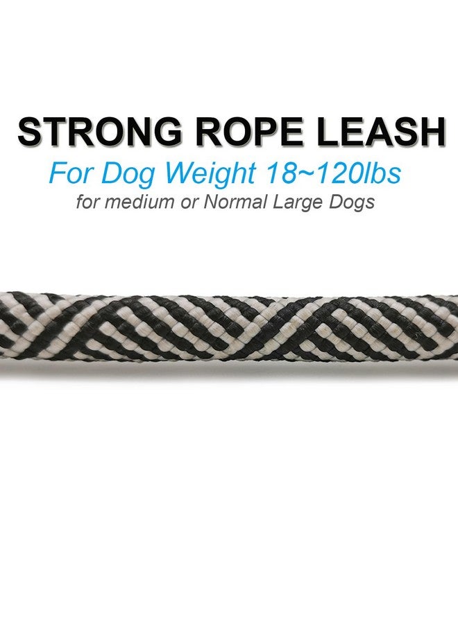 Mycicy Mycicy Short Dog Leash- 18 Inch Rope Traffic Leash with Padded Handle- 1/2” Strong Nylon Tab Leash for Medium Large Dogs Training Walking (Black) - Image 4
