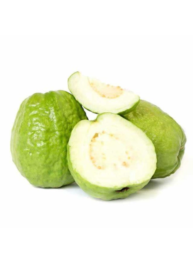 Guava, 710g to 750g , Thailand