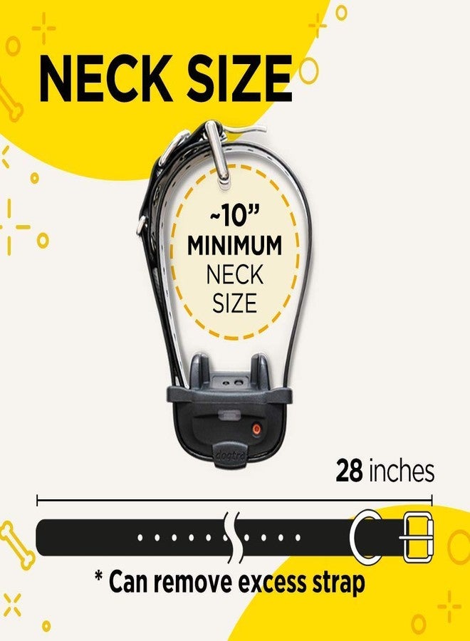 Dogtra iQ Mini Additional Receiver Rechargeable Waterproof Mini Remote Dog Training E-Collar - Image 4
