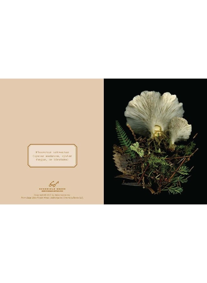 null - Deep Dark Forest Notes: 20 Different Notecards and Envelopes - Image 1