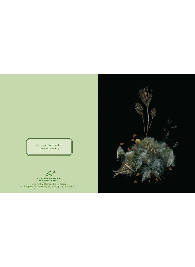 null - Deep Dark Forest Notes: 20 Different Notecards and Envelopes - Image 1