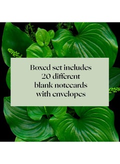 Deep Dark Forest Notes: 20 Different Notecards and Envelopes  - Image 5