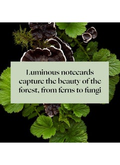 Deep Dark Forest Notes: 20 Different Notecards and Envelopes  - Image 3