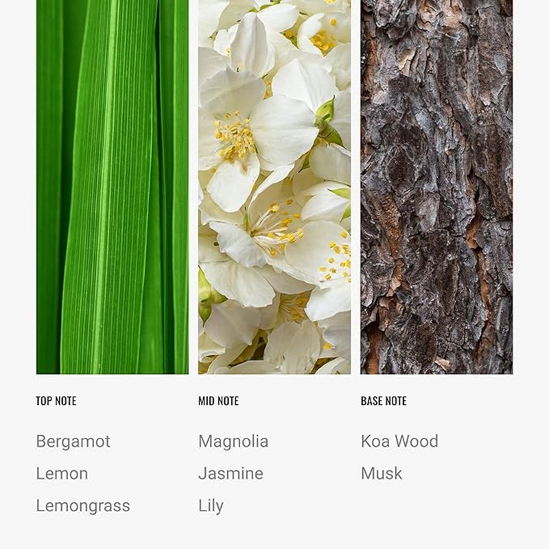 Hotel Collection 24K Magic Fragrance Oil Blend - Hotel Inspired for Luxury Essential Oil Diffusers - Aromatherapy Scent Diffuser Oil - Bergamot, Lemon, and Lemongrass - 50 mL, 1.7 fl oz - Image 4