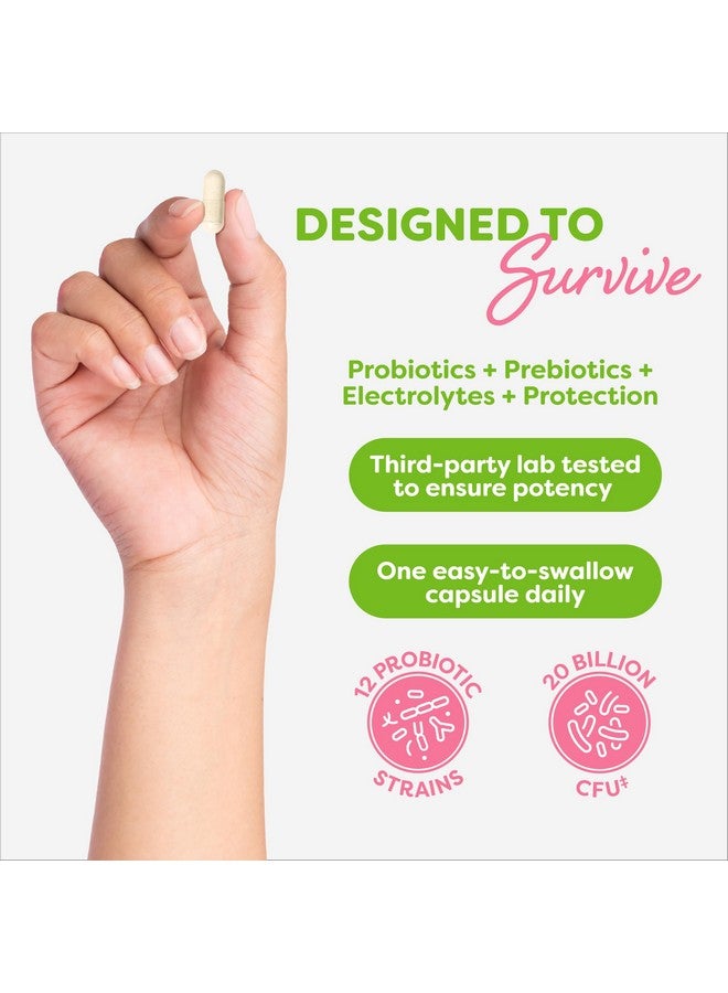 Probulin بروبيولين بروبيوتيك للنساء، مكمل يومي لصحة المهبل والأمعاء والمناعة، كبسولات، 20 مليار وحدة تشكيل مستعمرة، 12 سلالة بروبيوتيك، نباتي، زجاجة تحتوي على 60 كبسولة - Image 4