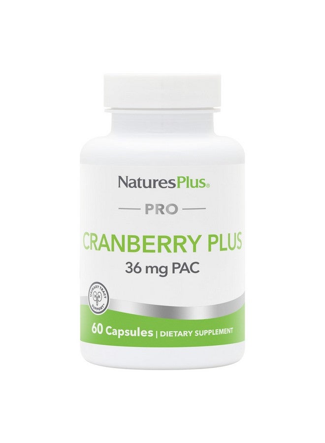 NaturesPlus PRO Cranberry Plus - 60 Capsules - Non-GMO, Gluten Free - 60 Servings - Image 1