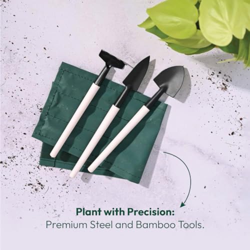 UGAOO Premium Mini Bonsai Tool Set - Heavy Duty Gardening Rake, Mini & Wide Spade - Image 2